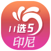 印尼11选5
